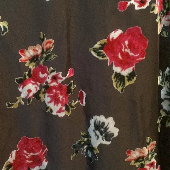 Never been worn. Anna Sui for ModCloth dress. Empire waist. Full length. - Picture 3 of 4